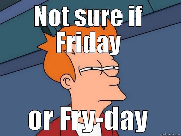 NOT SURE IF FRIDAY OR FRY-DAY Futurama Fry