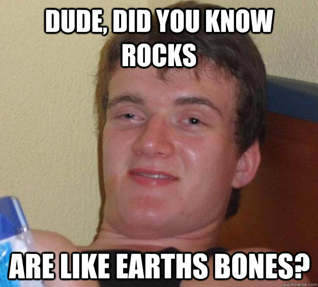 Dude, did you know rocks are like earths bones?  10 Guy