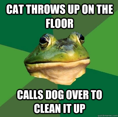 cat throws up on the floor calls dog over to clean it up - cat throws up on the floor calls dog over to clean it up  Foul Bachelor Frog