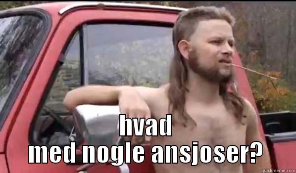 why not? -  HVAD MED NOGLE ANSJOSER? Almost Politically Correct Redneck