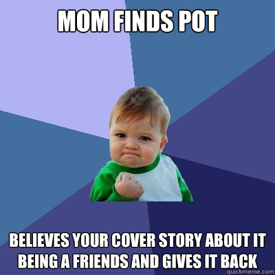 mom finds pot believes your cover story about it being a friends and gives it back  Success Kid