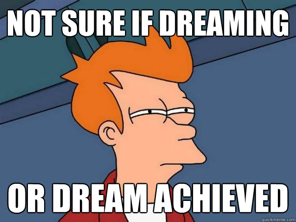 Not sure if dreaming or dream achieved  Futurama Fry