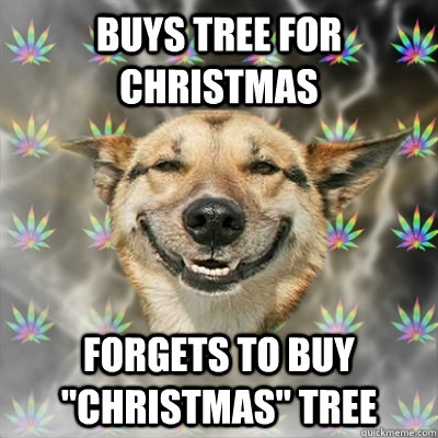 Buys tree for christmas Forgets to buy 