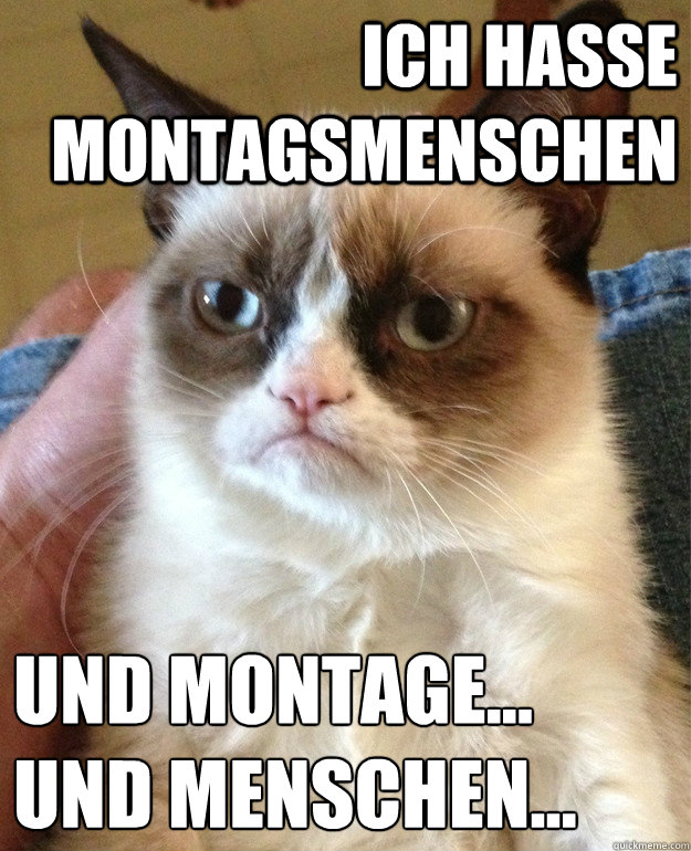 Ich hasse Montagsmenschen und Montage...
und Menschen...  Grumpy Cat