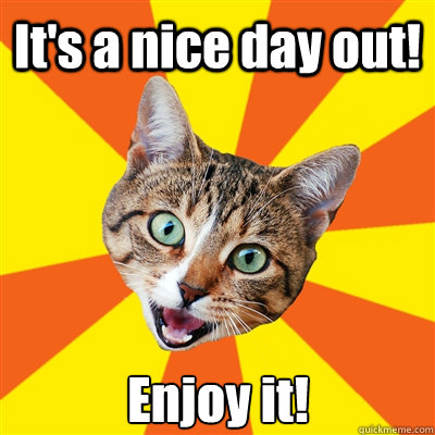 It's a nice day out! Enjoy it!  Bad Advice Cat