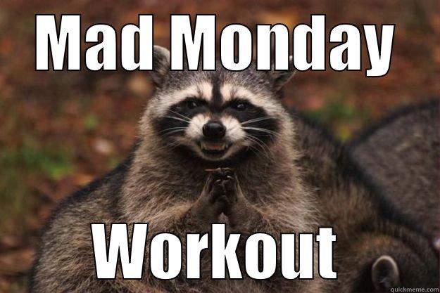 MAD MONDAY WORKOUT Evil Plotting Raccoon