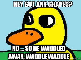 Hey Got any Grapes?

 No ... So he waddled away, waddle waddle - Hey Got any Grapes?

 No ... So he waddled away, waddle waddle  The duck song!!!