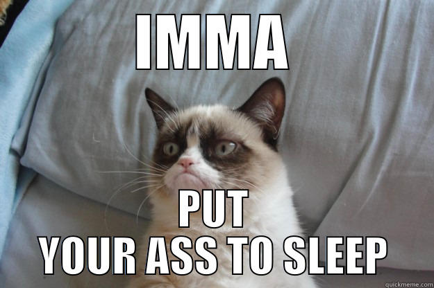 IMMA PUT YOUR ASS TO SLEEP Grumpy Cat