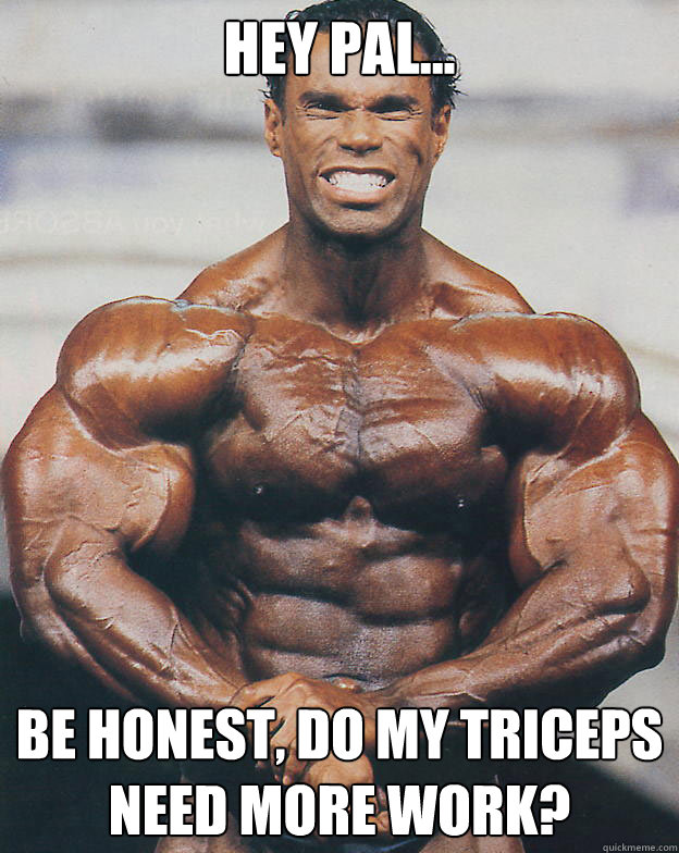 Hey pal... Be honest, do my triceps need more work?  Casual bodybuilder