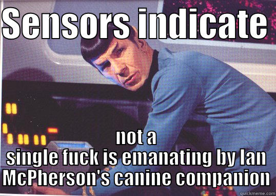 SENSORS INDICATE  NOT A SINGLE FUCK IS EMANATING BY IAN MCPHERSON'S CANINE COMPANION Misc