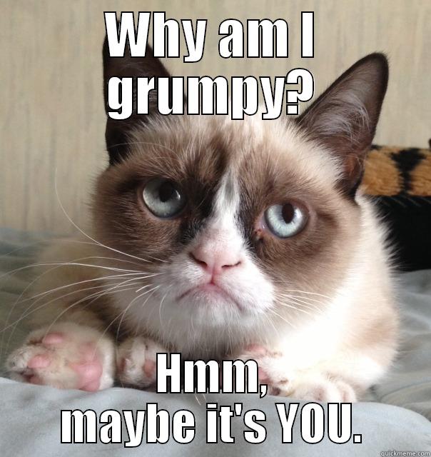 Why is Grumpy Cat grumpy? - WHY AM I GRUMPY? HMM, MAYBE IT'S YOU. Misc