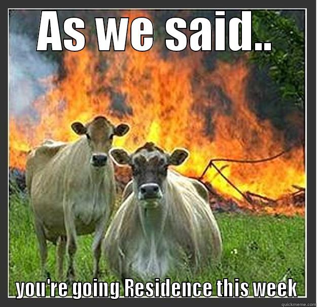 AS WE SAID.. YOU'RE GOING RESIDENCE THIS WEEK Evil cows