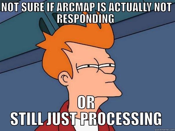 GIS ISSUES - NOT SURE IF ARCMAP IS ACTUALLY NOT RESPONDING  OR STILL JUST PROCESSING Futurama Fry