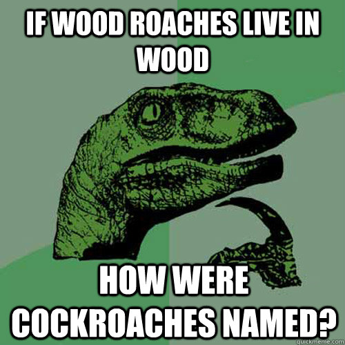 If wood roaches live in wood how were cockroaches named?  Philosoraptor