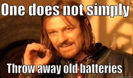 ONE DOES NOT SIMPLY  THROW AWAY OLD BATTERIES  Boromir