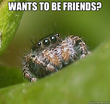 WANTS TO BE FRIENDS?   Misunderstood Spider