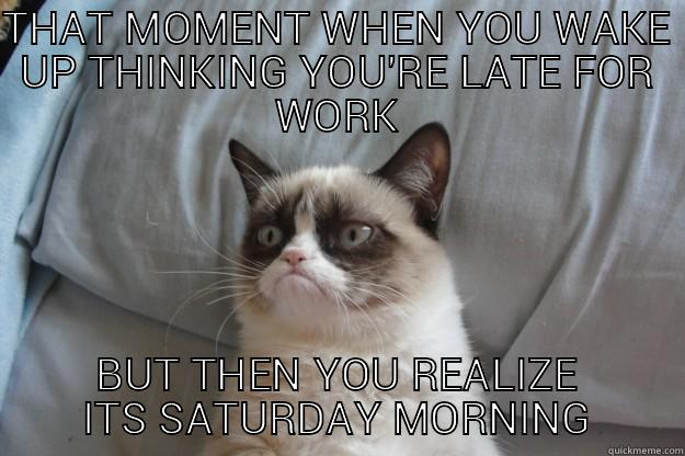 THAT MOMENT WHEN YOU WAKE UP THINKING YOU'RE LATE FOR WORK BUT THEN YOU REALIZE ITS SATURDAY MORNING Grumpy Cat