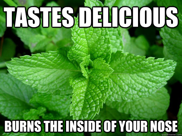 Tastes Delicious burns the inside of your nose - Tastes Delicious burns the inside of your nose  Scumbag Mint