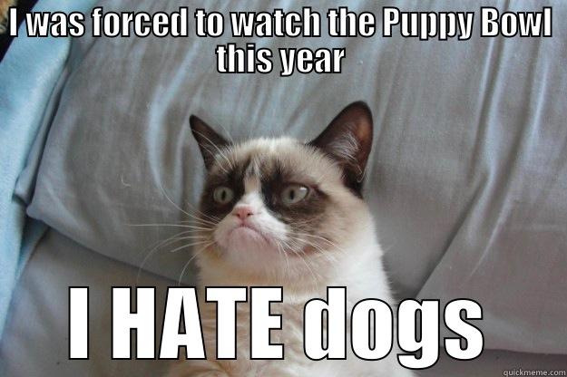 I WAS FORCED TO WATCH THE PUPPY BOWL THIS YEAR I HATE DOGS Grumpy Cat