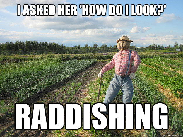 I asked her 'how do I look?' raddishing  Scarecrow