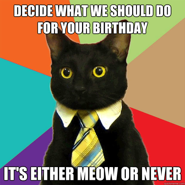 DECIDE WHAT WE SHOULD DO FOR YOUR BIRTHDAY it's either meow or never  Business Cat