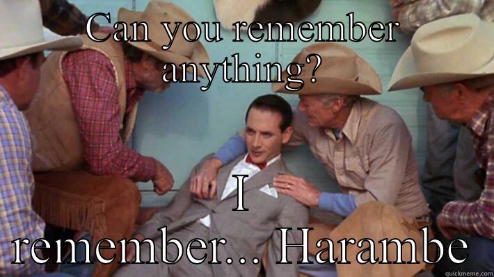 CAN YOU REMEMBER ANYTHING? I REMEMBER... HARAMBE Misc