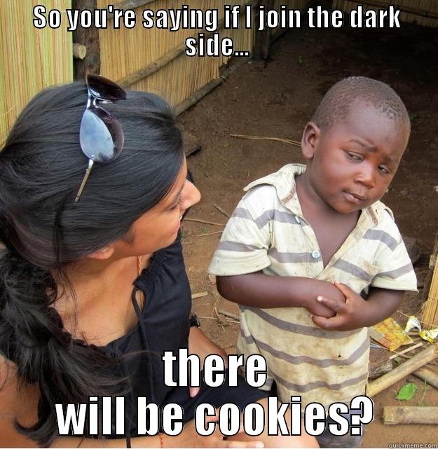 SO YOU'RE SAYING IF I JOIN THE DARK SIDE... THERE WILL BE COOKIES? Skeptical Third World Kid