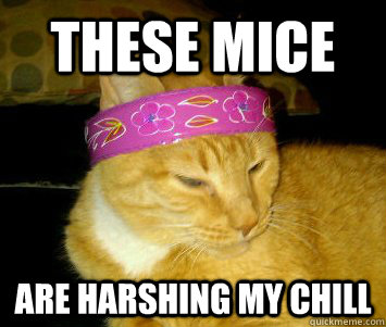 these mice are harshing my chill - these mice are harshing my chill  Jerry Garcia Cat