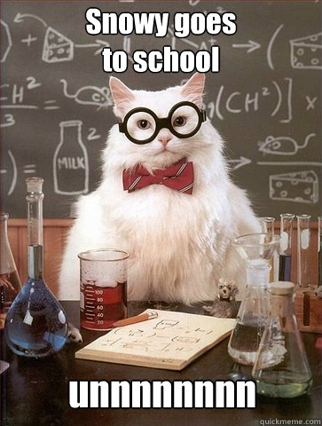 Snowy goes 
to school unnnnnnnn  Chemistry Cat