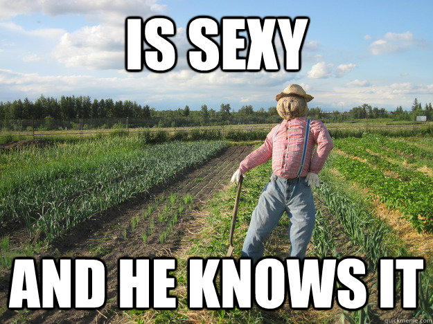 is sexy and he knows it  Scarecrow