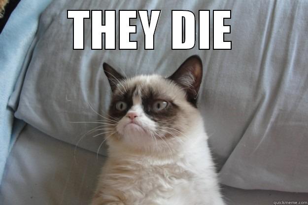 THEY DIE. - THEY DIE  Grumpy Cat