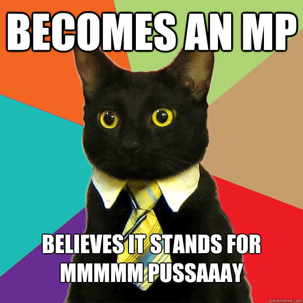 Becomes an mp Believes it stands for mmmmm pussaaay  Business Cat