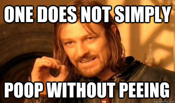 ONE DOES NOT SIMPLY POOP WITHOUT PEEING  One Does Not Simply