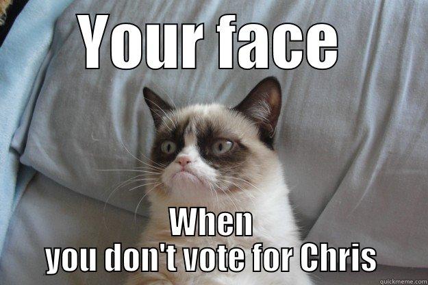 YOUR FACE WHEN YOU DON'T VOTE FOR CHRIS Grumpy Cat