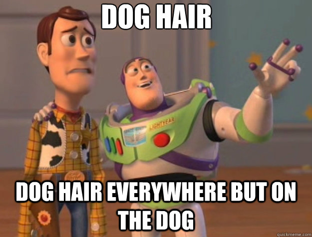 Dog Hair Dog hair everywhere but on the dog - Dog Hair Dog hair everywhere but on the dog  Toy Story