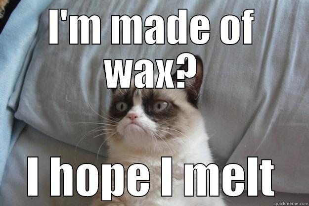 I'M MADE OF WAX? I HOPE I MELT Grumpy Cat