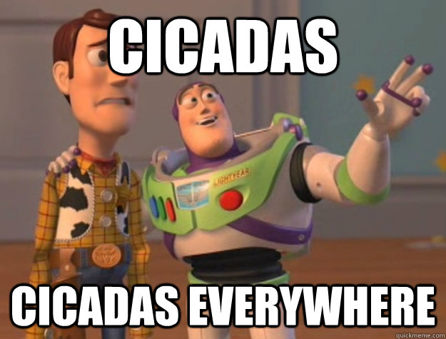 Cicadas Cicadas Everywhere  Buzz Lightyear