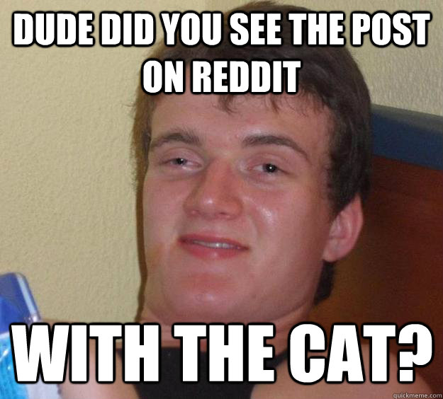 Dude did you see the post on reddit with the cat?  10 Guy