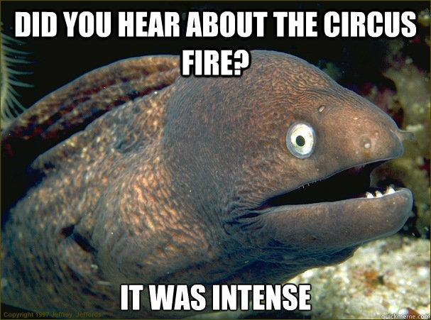 DId you hear about the circus fire? it was intense  Bad Joke Eel