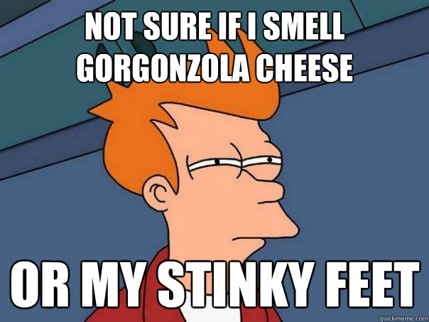 not sure if i smell Gorgonzola cheese  or my stinky feet - not sure if i smell Gorgonzola cheese  or my stinky feet  Futurama Fry