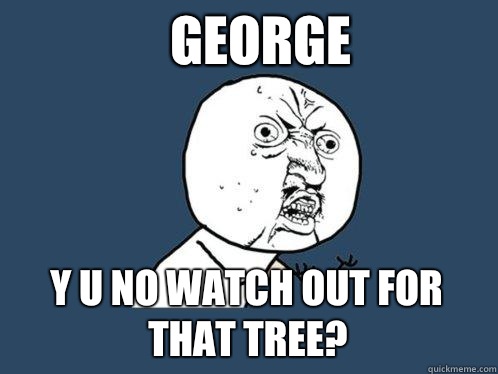 George y u no watch out for that tree?  Y U No