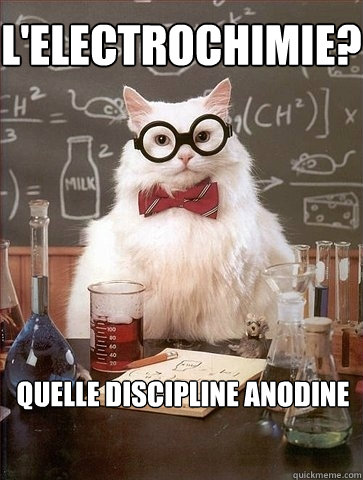 L'ELECTROCHIMIE? QUELLE DISCIPLINE ANODINE  Chemistry Cat