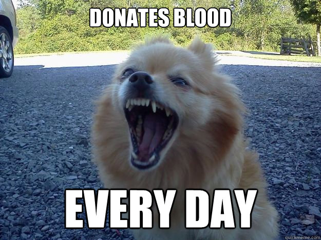 donates blood every day  