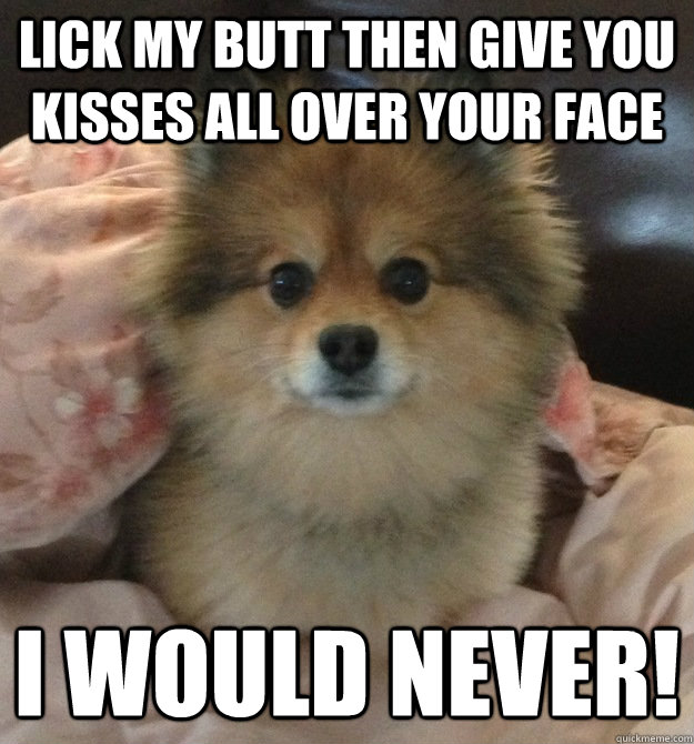 Lick my butt then give you kisses all over your face I would never!  