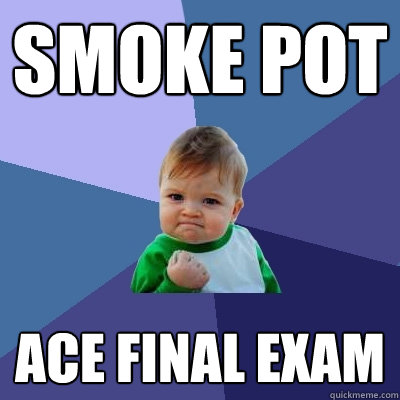 smoke pot ACE final exam  Success Kid