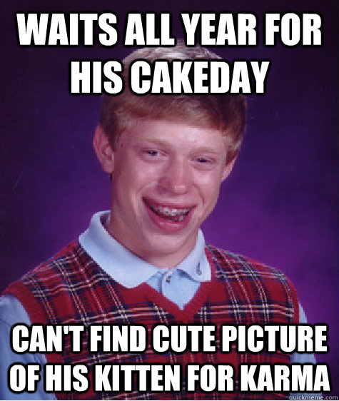 Waits all year for his cakeday can't find cute picture of his kitten for karma  Bad Luck Brian