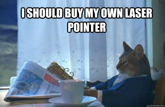 I should buy my own laser pointer  Sophisticated Cat