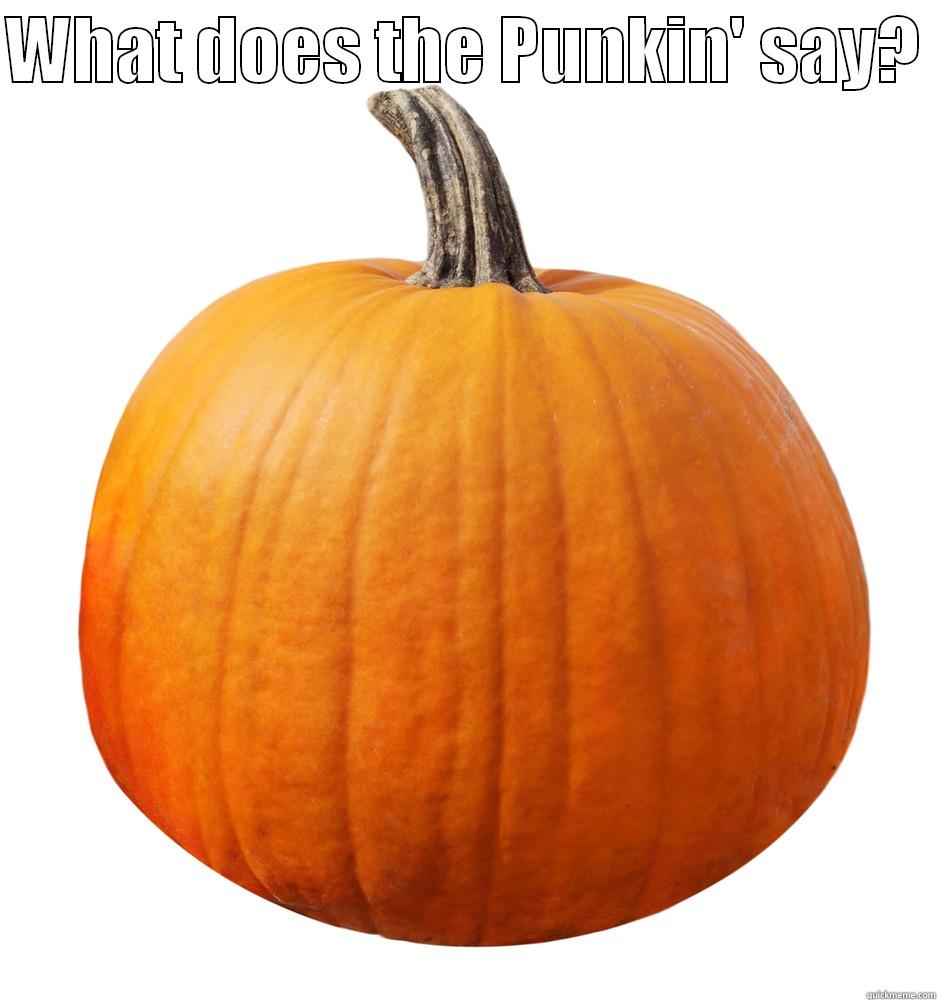 What does the Punkin' say? - WHAT DOES THE PUNKIN' SAY?   Misc