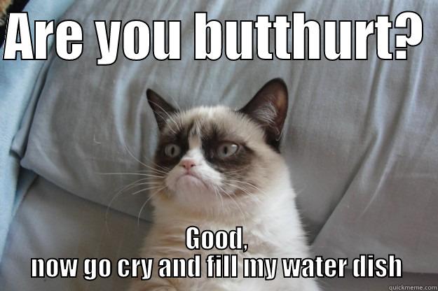 ARE YOU BUTTHURT?  GOOD, NOW GO CRY AND FILL MY WATER DISH Grumpy Cat