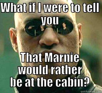 WHAT IF I WERE TO TELL YOU THAT MARNIE WOULD RATHER BE AT THE CABIN? Matrix Morpheus